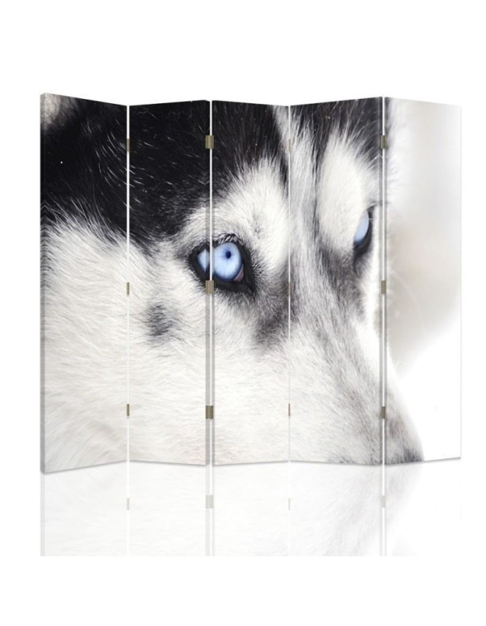 Parawan Syberyjski husky - feeby.pl