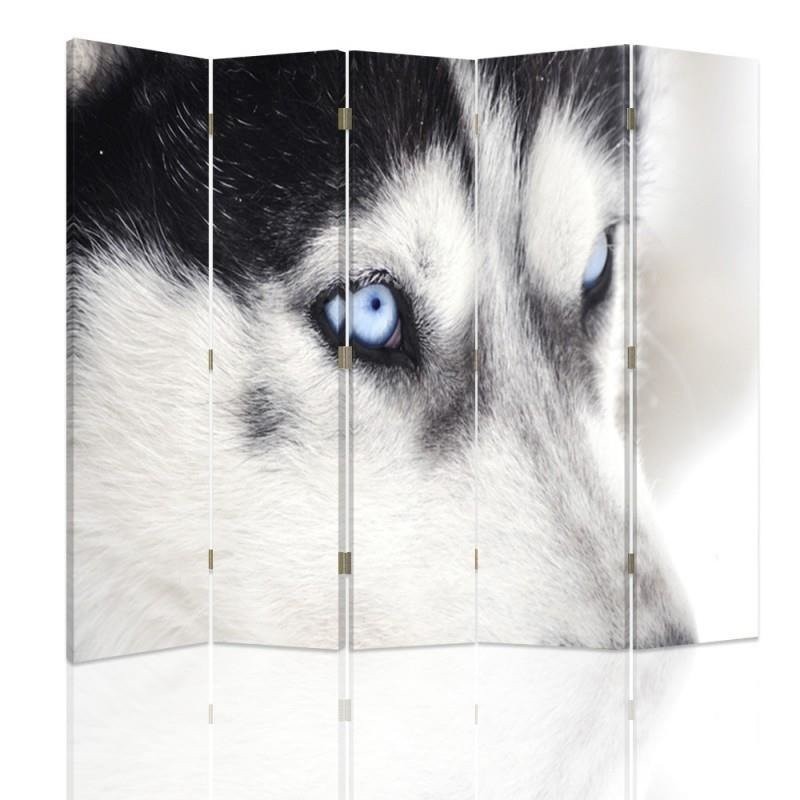 Parawan Syberyjski husky - feeby.pl