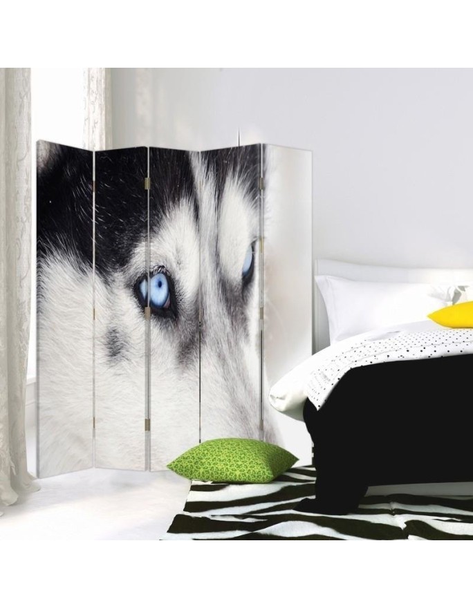 Parawan Syberyjski husky - feeby.pl