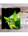 room divider for the kitchen - Refreshing mint | FEEBY