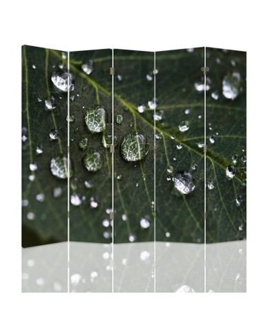 Practical room divider - Raindrops on a leaf | FEEBY