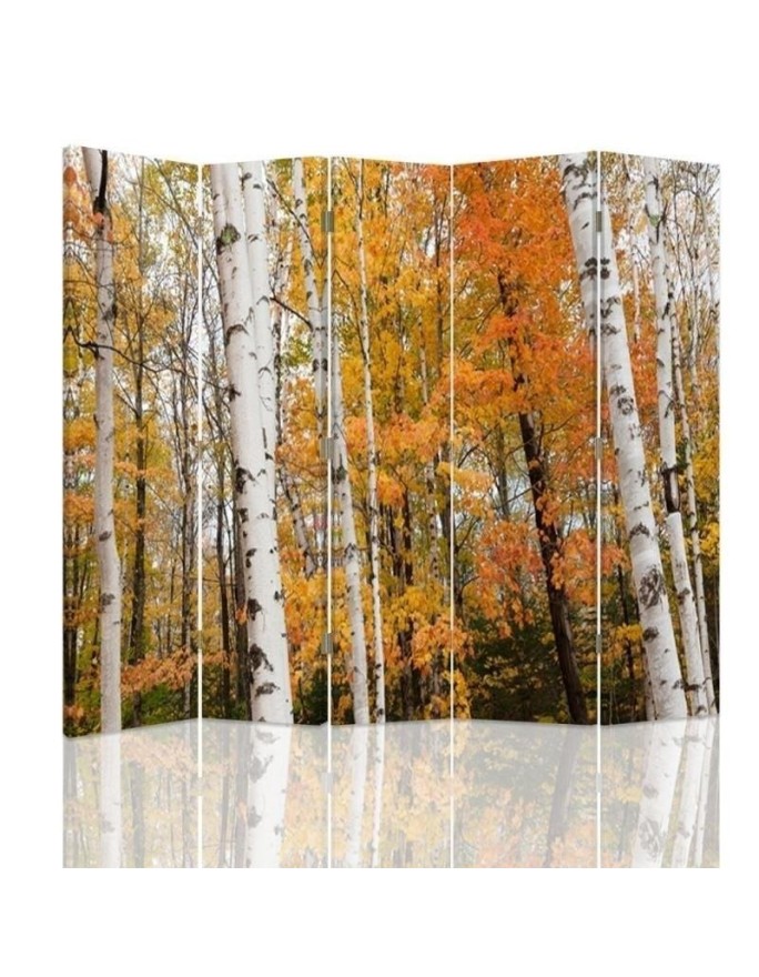 Practical room divider - Birch forest in autumn | FEEBY