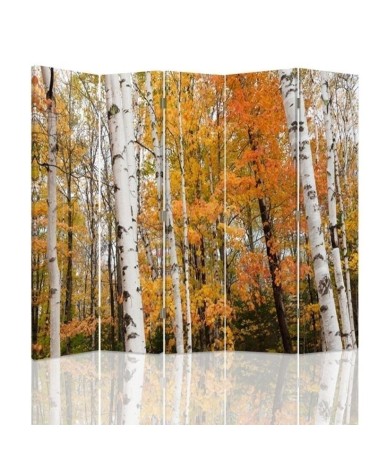 Practical room divider - Birch forest in autumn | FEEBY