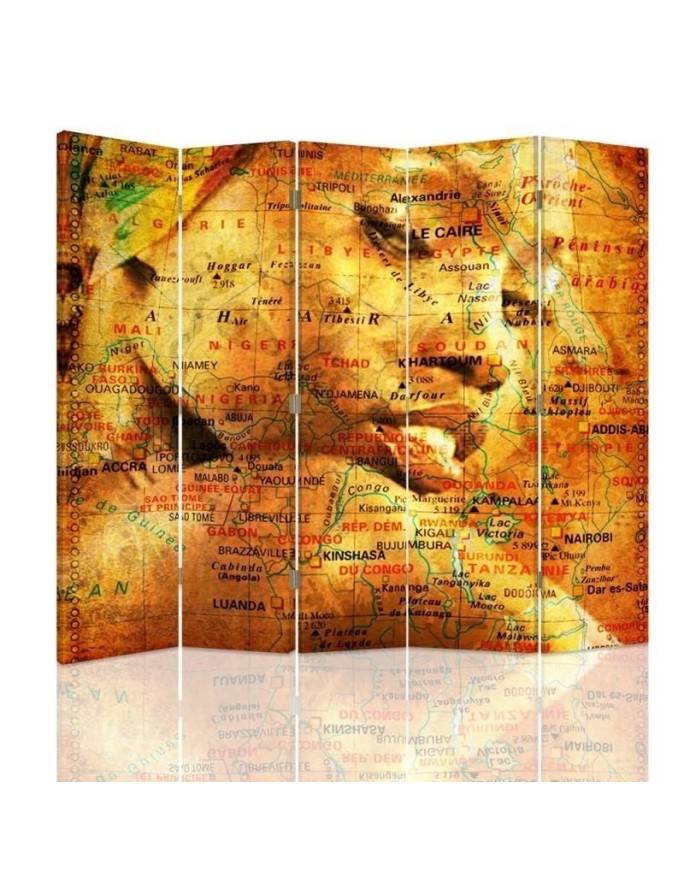 Room divider - Map with portrait of a woman | FEEBY