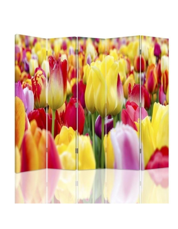 Parawan Wielobarwne tulipany - feeby.pl