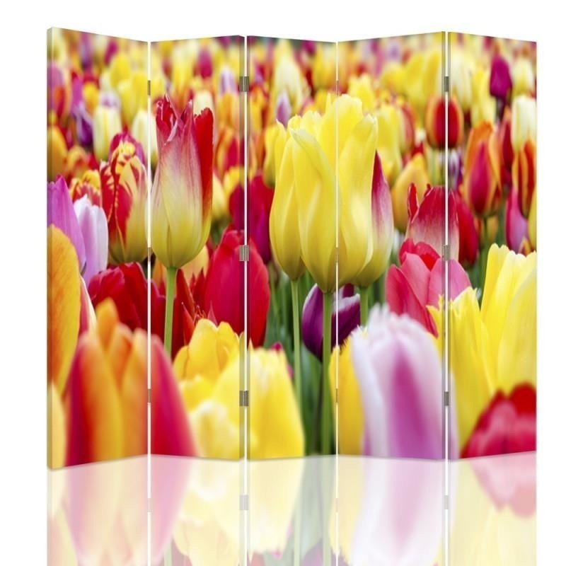 Parawan Wielobarwne tulipany - feeby.pl