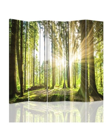 Room divider - Sun in the forest | FEEBY