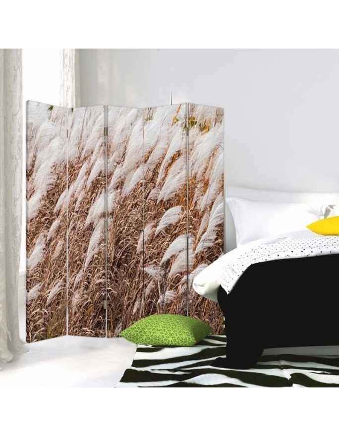 Parawan Trawa pampasowa - feeby.pl