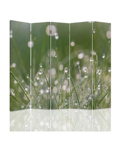 Decorative room divider - Dewdrops on the grass | FEEBY