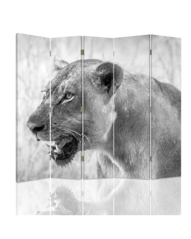 Room divider - Lioness | FEEBY