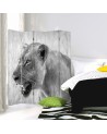 Parawan Lwica - feeby.pl