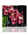 Parawan Orchidea z bambusem - feeby.pl