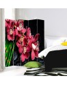 Parawan Orchidea z bambusem - feeby.pl
