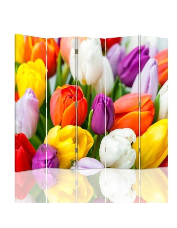 Parawan Kolorowe tulipany - feeby.pl