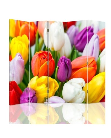 Parawan Kolorowe tulipany - feeby.pl