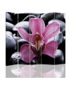 Parawan Zen z kwiatem orchidei - feeby.pl