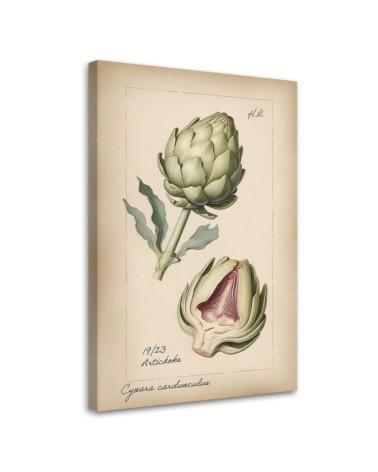 Kitchen painting - Vegetables Vintage Artichoke | FEEBY