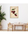Obraz do kuchni nowoczesny - Owoce Vintage Wiśnia | Feeby.pl