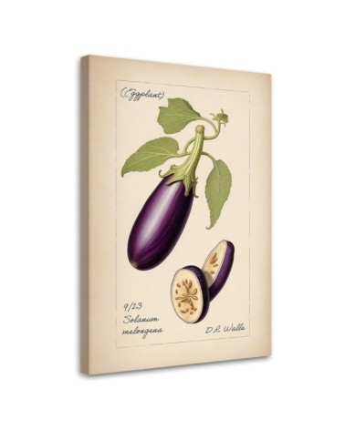 Dinning room canvas print - Vintage vegetables Aubergine | FEEBY