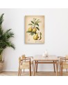 Print on canvas for kitchen - Fruit Vintage Pear | FEEBY