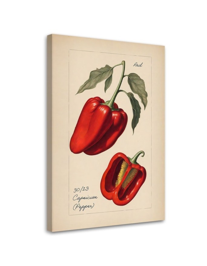 Obraz do kuchni na ścianę - Warzywa Vintage Papryka | Feeby.pl