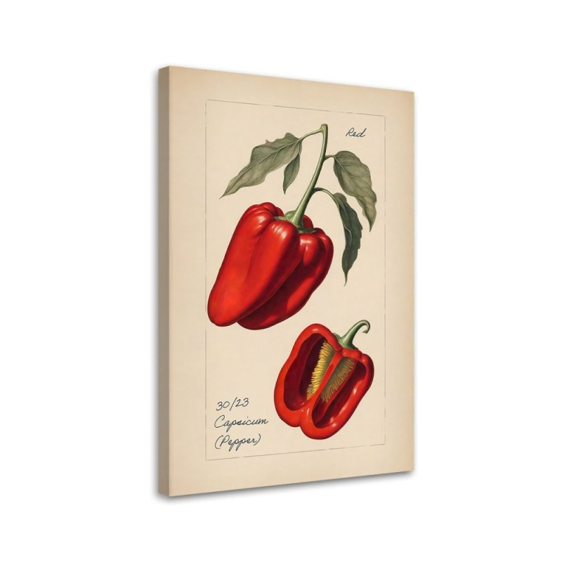 Obraz do kuchni na ścianę - Warzywa Vintage Papryka | Feeby.pl