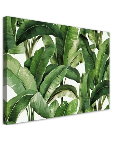 Canvas print for the wall - Green tropical leaves | FEEBY