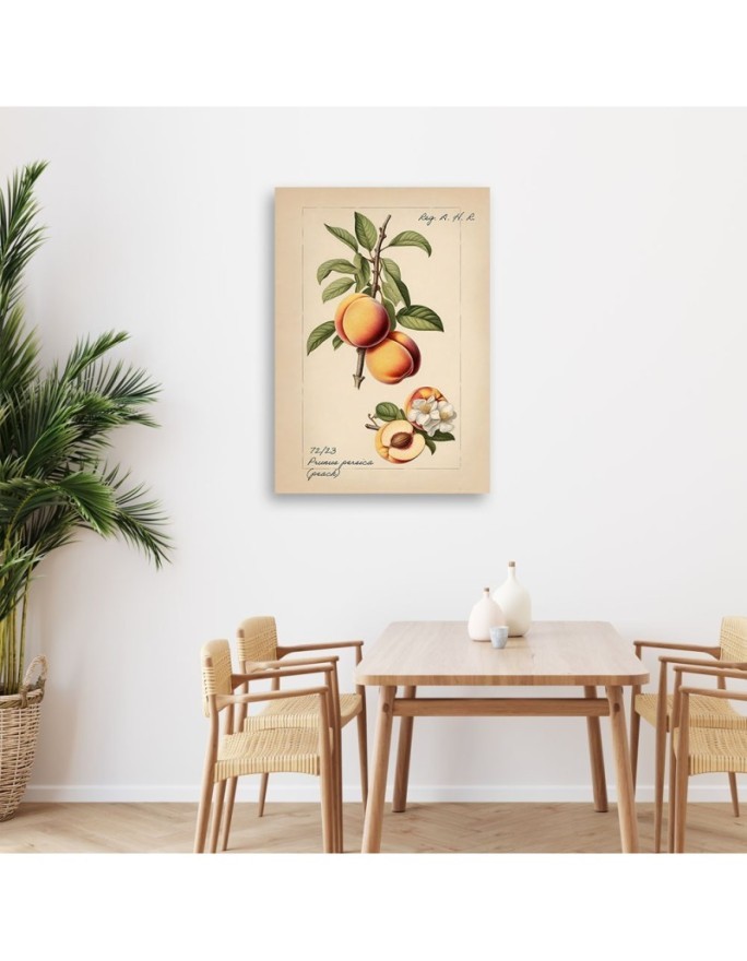 Obraz do kuchni - Owoce Vintage Brzoskwinia | Feeby.pl