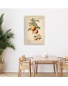 Obraz do kuchni - Owoce Vintage Brzoskwinia | Feeby.pl