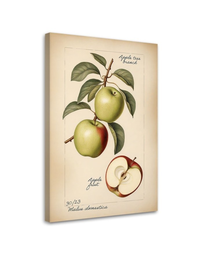 Picture for restaurant - Fruit Vintage Apple | FEEBY