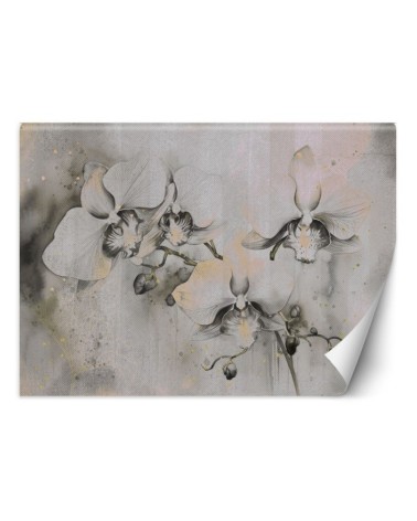Wall mural for living room - Flowering orchids abstract | FEEBY