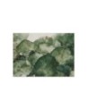 Modern wall mural - Green lotus leaves | FEEBY