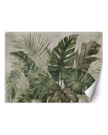 Unique wall mural - Tropical monstera leaves | FEEBY