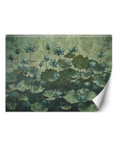 Wallpaper - Flowering green water lilies | FEEBY