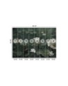 Wall mural - Vintage water lilies | FEEBY