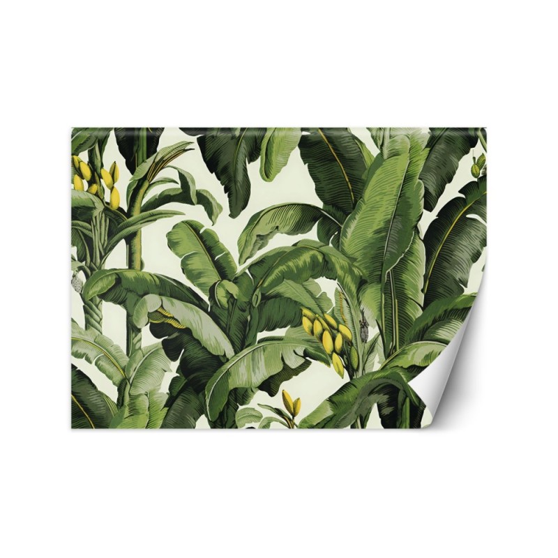 Wall mural for living room - Green banana leaves | FEEBY