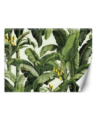 Wall mural for living room - Green banana leaves | FEEBY