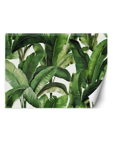 Wall mural for bedroom - Green tropical leaves | FEEBY