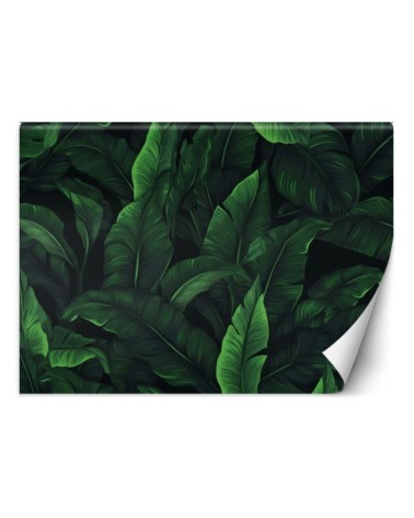 Wallpaper - Exotic leaves in monochrome green | FEEBY