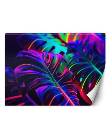 Modern wallpaper - Monstera leaves in neon colors | FEEBY