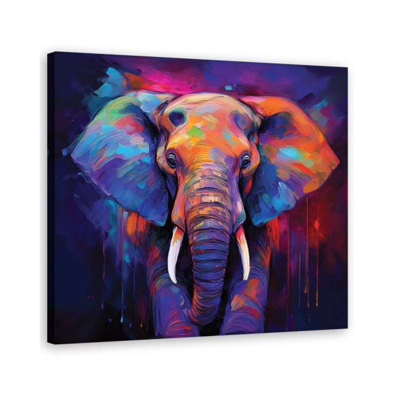 Obraz ścienny - Kolorowe Zwierzęta Słonie | Feeby.pl