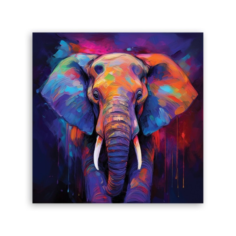 Obraz ścienny - Kolorowe Zwierzęta Słonie | Feeby.pl