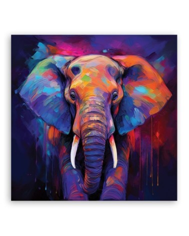 Obraz ścienny - Kolorowe Zwierzęta Słonie | Feeby.pl