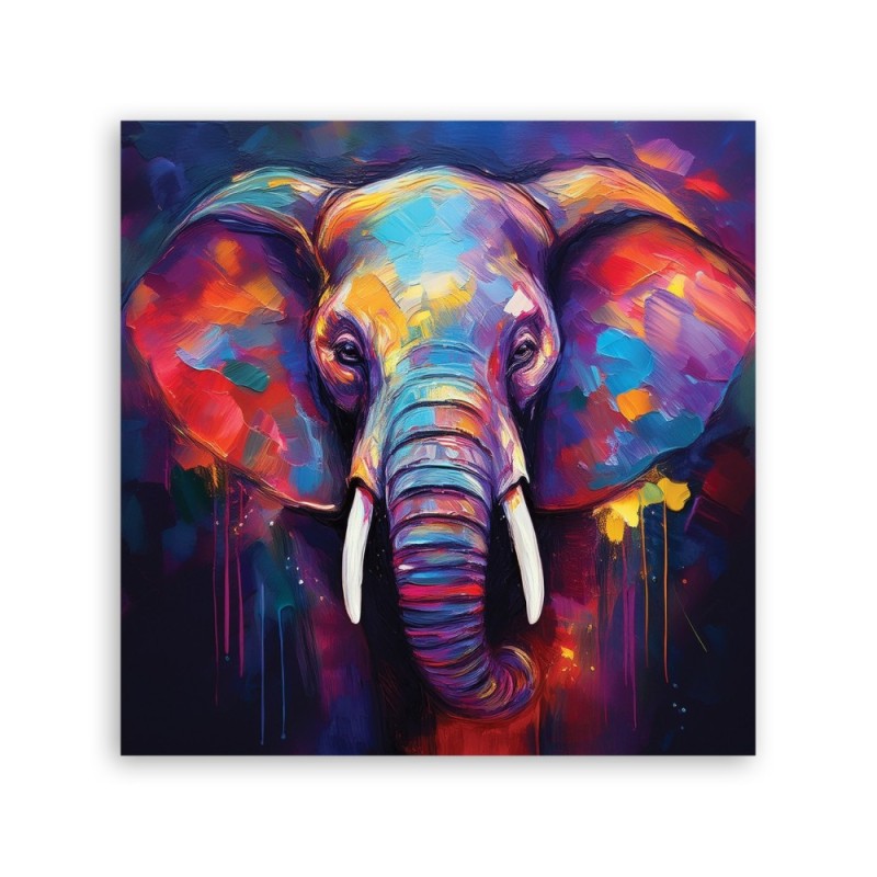 Obraz drukowany - Słoń Zwierzęta Pop Art | Feeby.pl