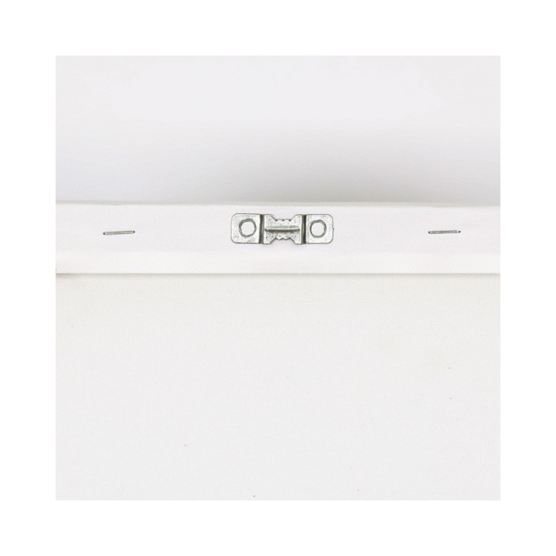 Stylowe obrazy ścienne - Kolorowe Zwierzęta Zebry | Feeby.pl