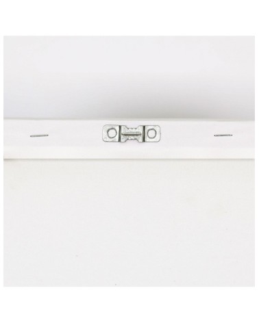 Stylowe obrazy ścienne - Kolorowe Zwierzęta Zebry | Feeby.pl