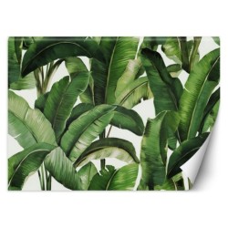 Stilvolle Fototapete - Grüne tropische Blätter | Feeby