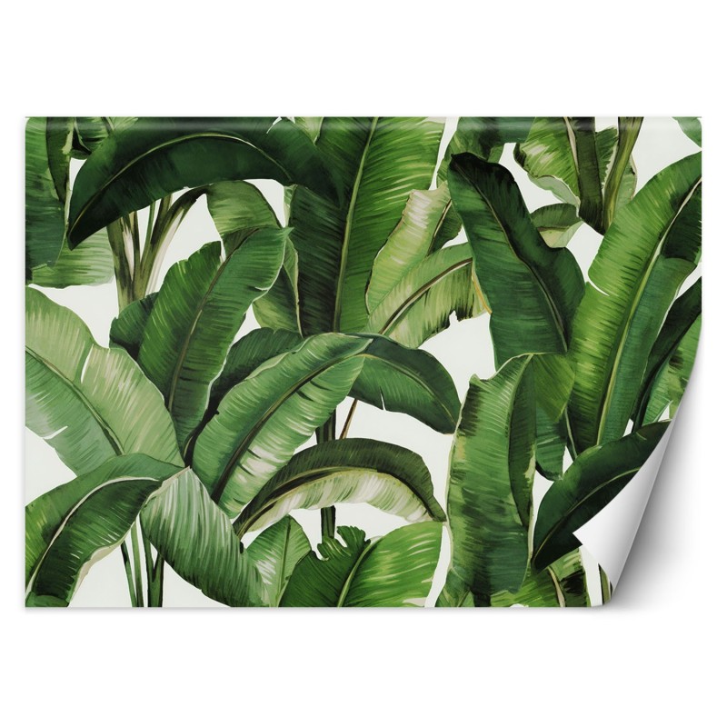 Stilvolle Fototapete - Grüne tropische Blätter | Feeby