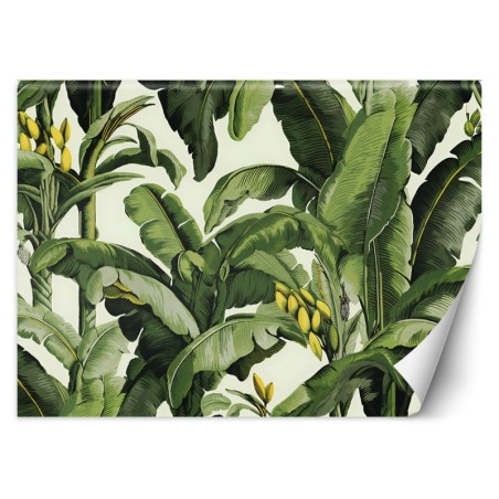 Fototapete - Grüne Bananenblätter | Feeby
