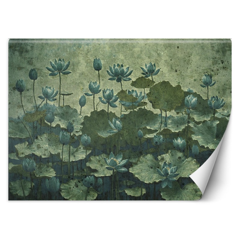 Fototapete - Grüne Seerosen in Blüte | Feeby